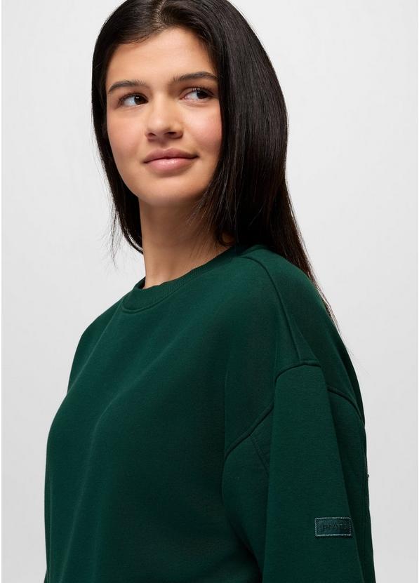 DreamFleece Crew Sweatshirt, Color: Root Green, image 3