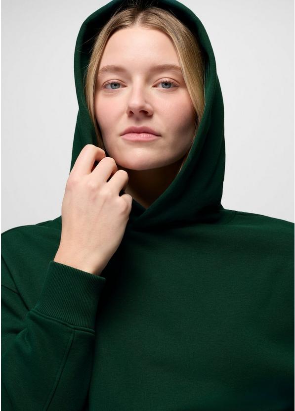 DreamFleece Hoodie, Color: Root Green, image 3