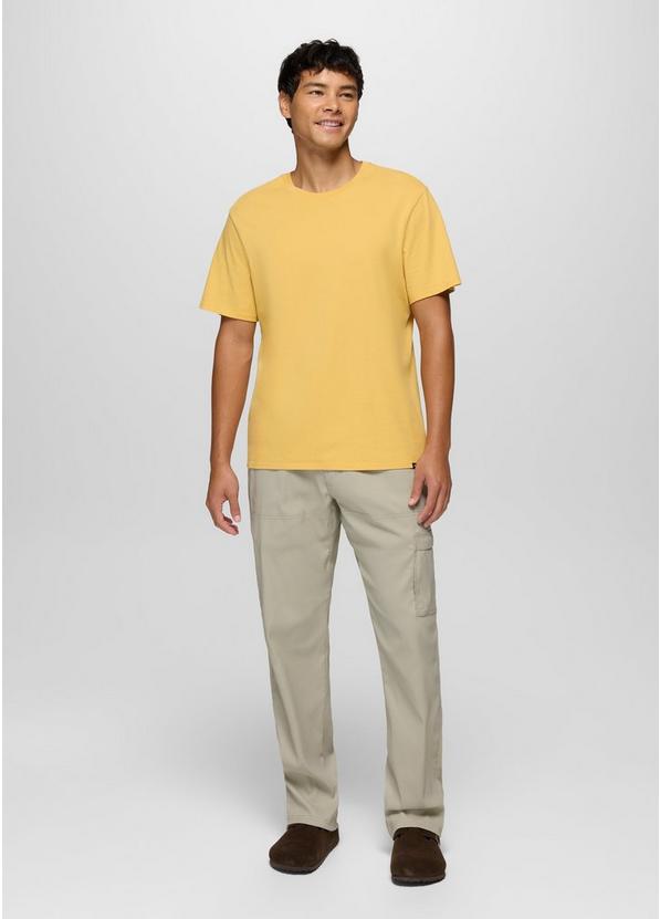 Stretch Zion Standard Pant, Color: Stoned, image 7
