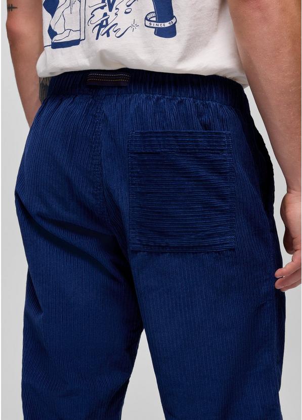 Durado Cord Pant, Color: Capulet Blue, image 4