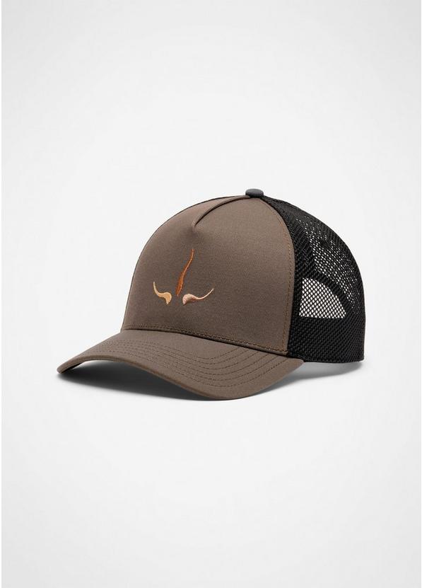 Roads Ahead Embroidered Hat, Color: Shadow Multi prAna Horns, image 1