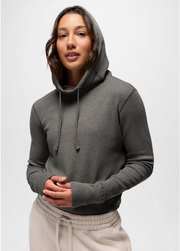 Touchstone Hoodie, Color: Thyme Heather, image 3
