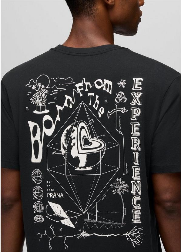 Everyday Homeostasis Short Sleeve Graphic Tee, Color: Black, image 6