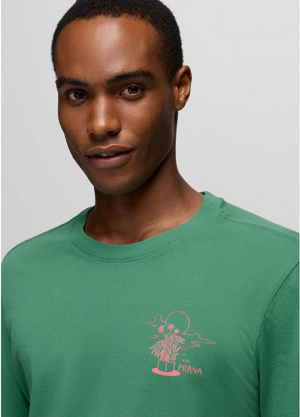 Everyday Homeostasis Short Sleeve Graphic Tee, Color: Jade, image 5