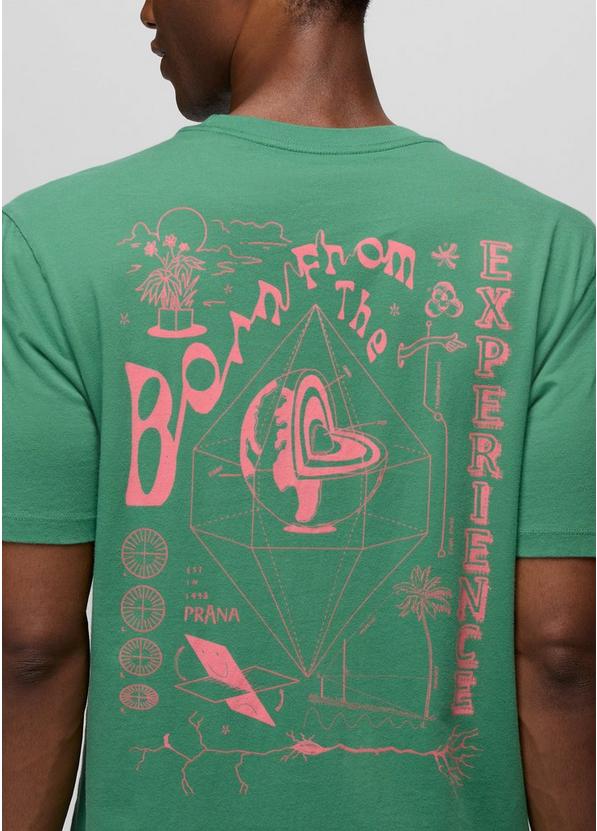 Everyday Homeostasis Short Sleeve Graphic Tee, Color: Jade, image 6