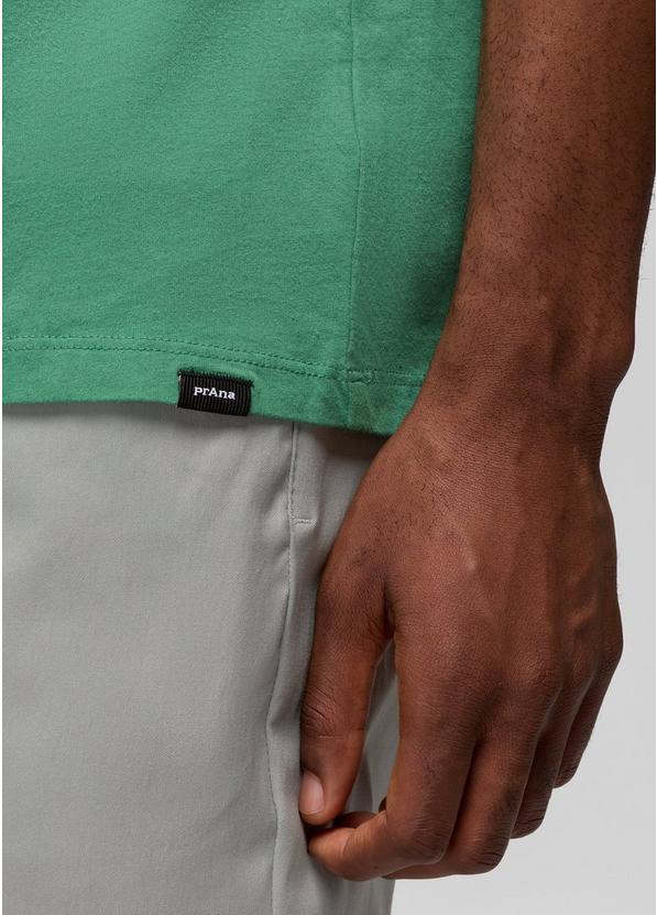 Everyday Homeostasis Short Sleeve Graphic Tee, Color: Jade, image 7