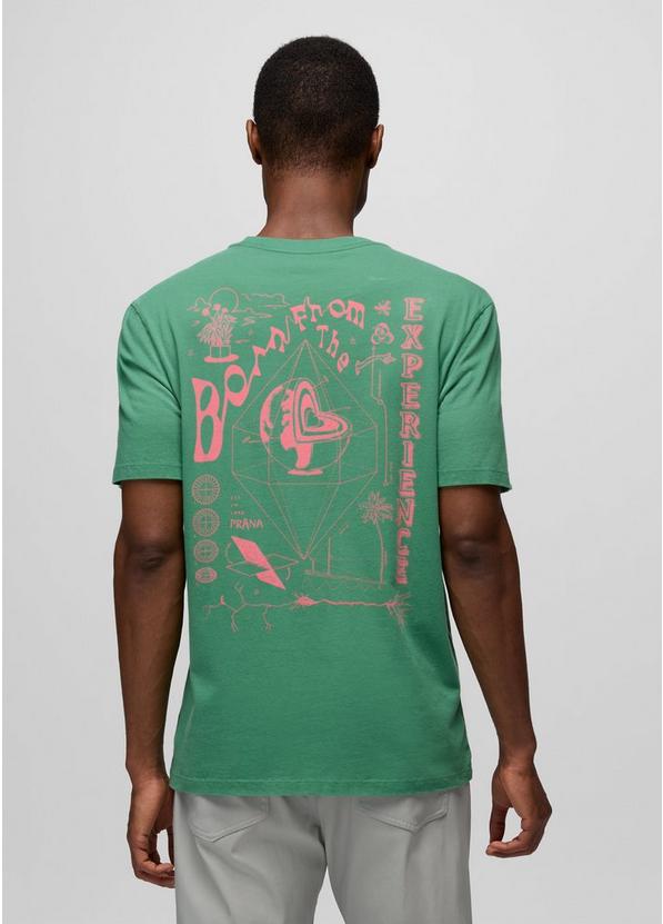 Everyday Homeostasis Short Sleeve Graphic Tee, Color: Jade, image 3