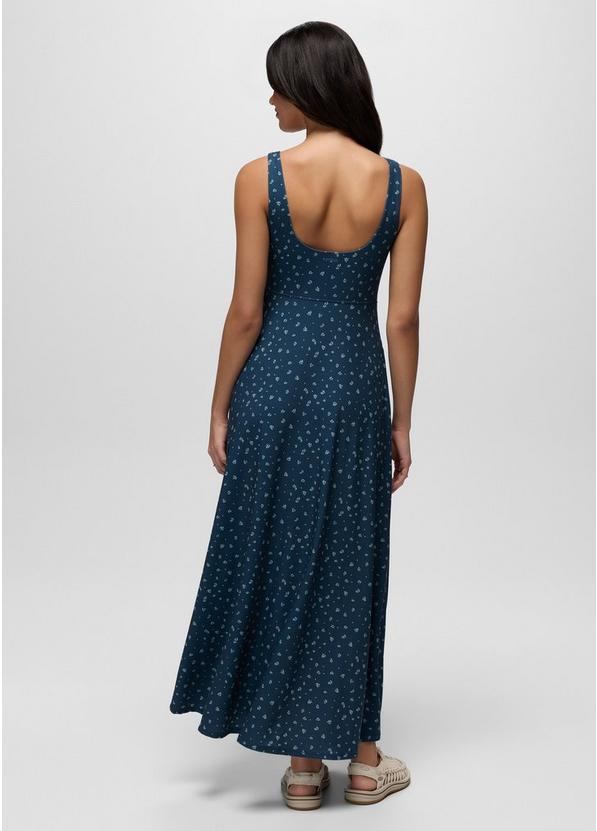 Corrinne Maxi Dress, Color: Bluff Blue Spring Fling, image 2