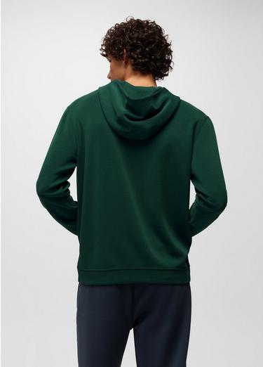 Shea Soft Hoodie, Color: Root Green, image 14
