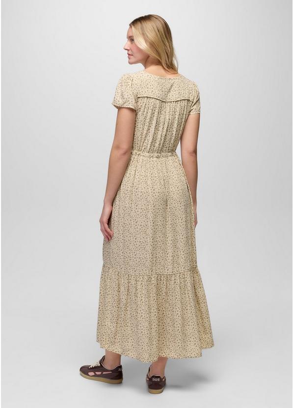 Moonvale Maxi Dress, Color: Stone, image 2