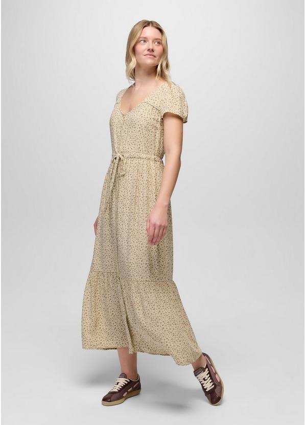 Moonvale Maxi Dress, Color: Stone, image 5