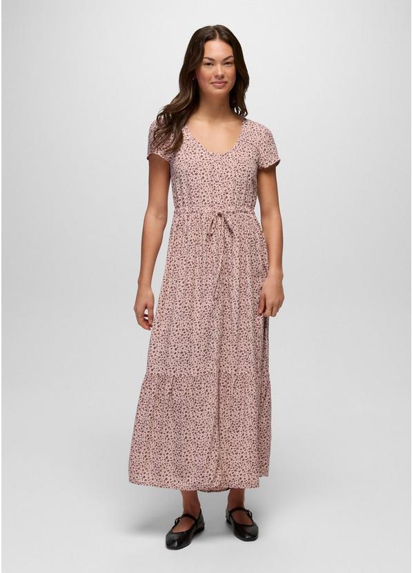 Moonvale Maxi Dress, Color: Dawn, image 1