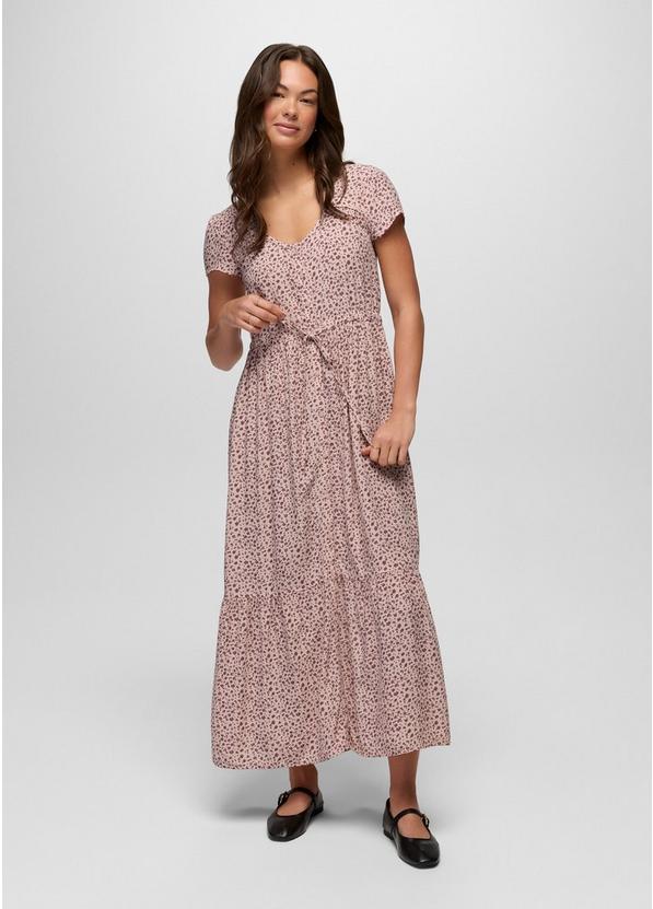Moonvale Maxi Dress, Color: Dawn, image 5