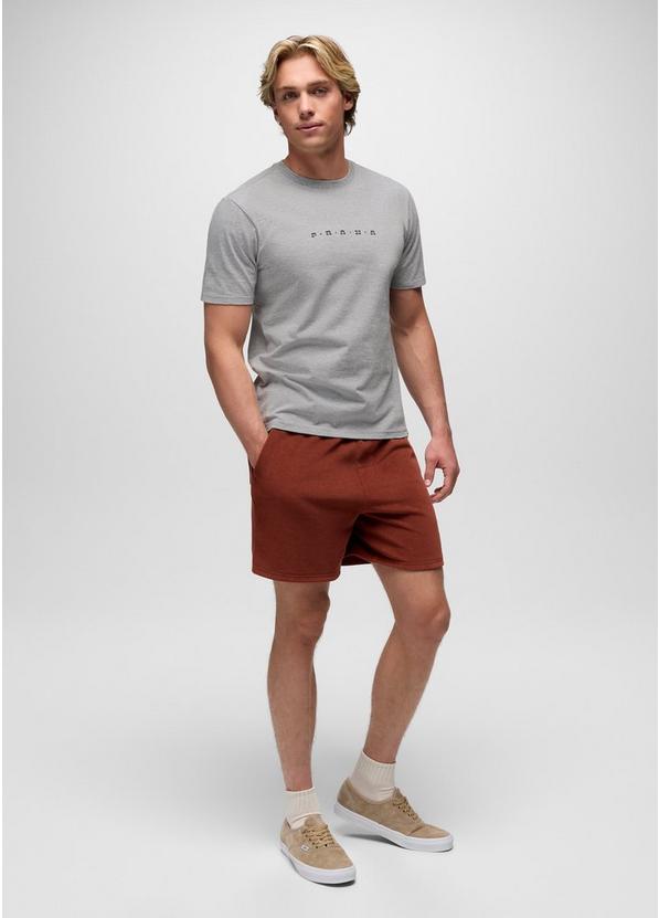 prAna Valley Lookout Short Sleeve Graphic Tee, Color: Heather Grey, image 7