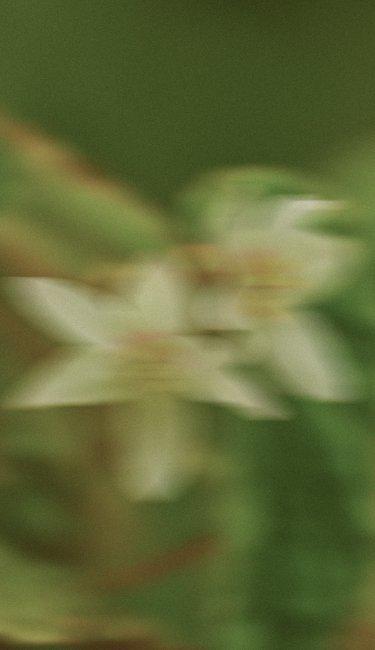 prAna labor day sale