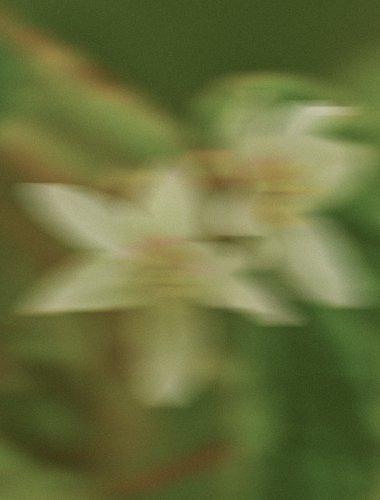 prAna labor day sale